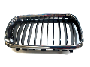 Image of Grille de calandre droite image for your BMW